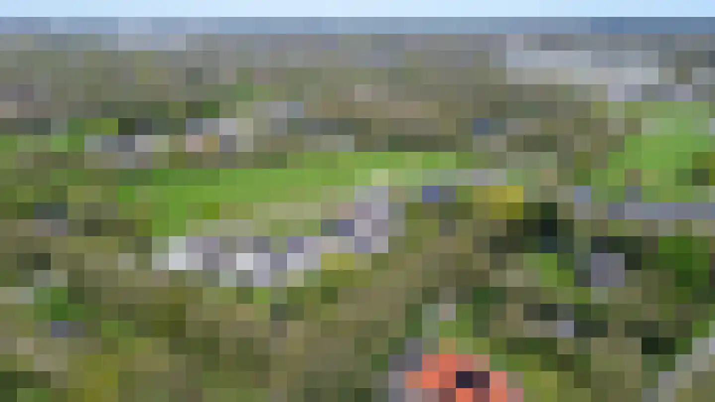 Heidemeer 25 Heerenveen thumbnail 58