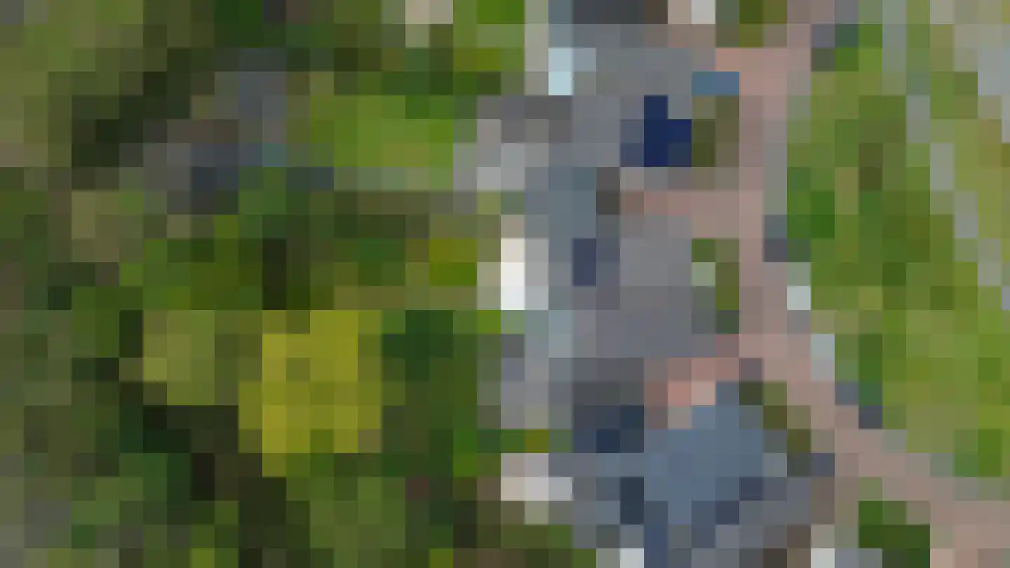 Heidemeer 25 Heerenveen thumbnail 60