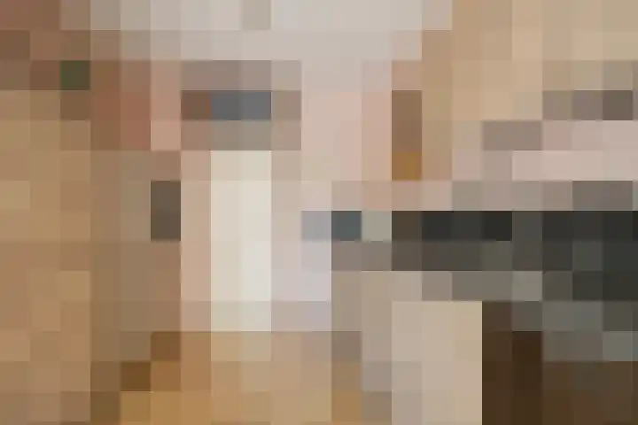 Heidenendstraat 31 Tegelen thumbnail 13