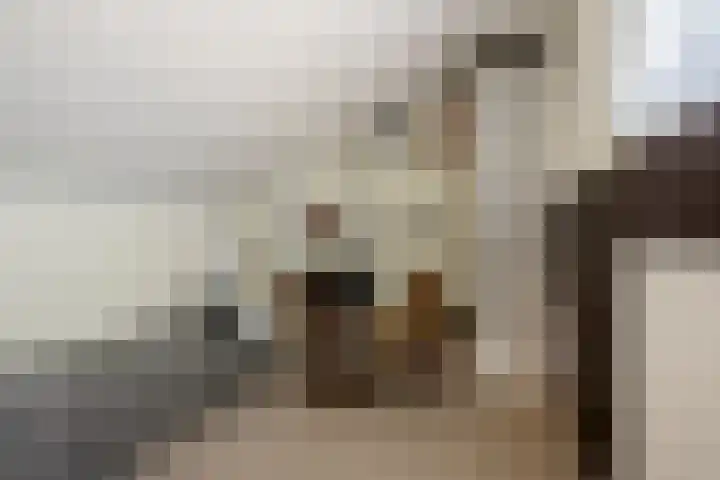 Heidenendstraat 31 Tegelen thumbnail 24