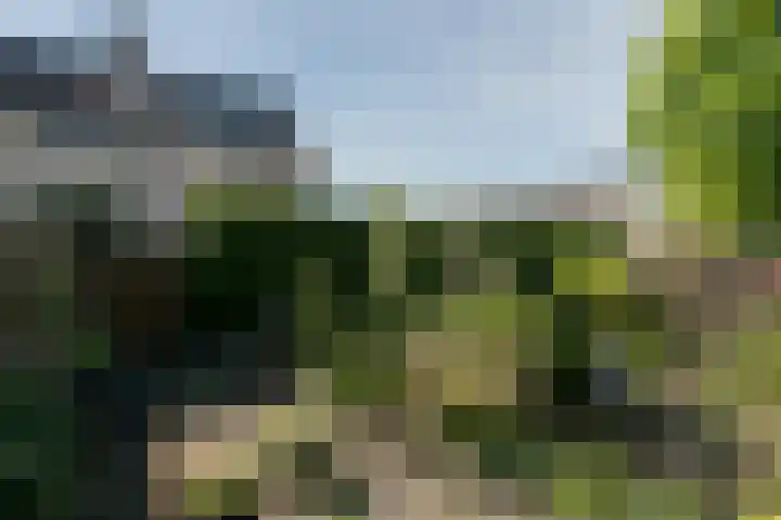 Heidenendstraat 31 Tegelen thumbnail 27