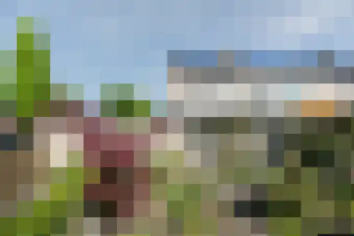 Heidenendstraat 31 Tegelen thumbnail 33