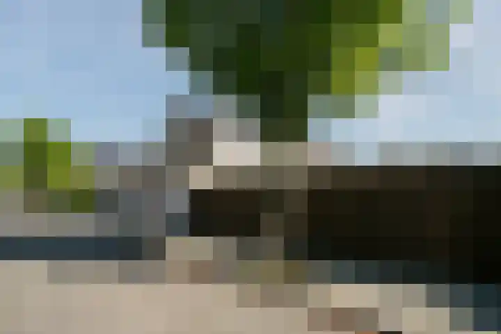 Heidenendstraat 31 Tegelen thumbnail 39