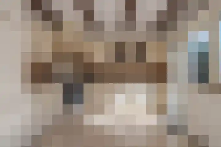 Heidenendstraat 39 Tegelen thumbnail 12