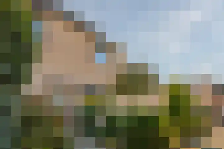Heidenendstraat 39 Tegelen thumbnail 35