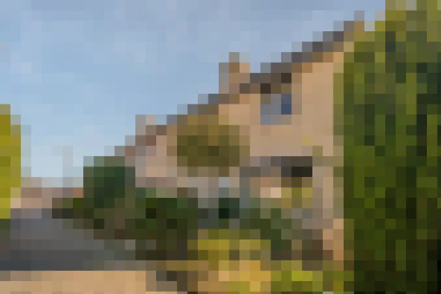 Heidenendstraat 39 Tegelen thumbnail 36