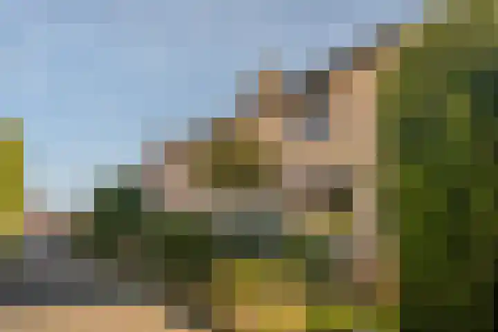 Heidenendstraat 39 Tegelen thumbnail 36