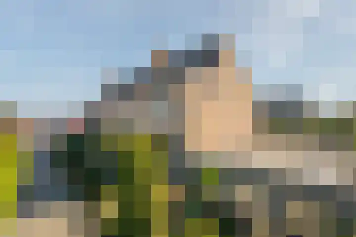 Heidenendstraat 39 Tegelen thumbnail 37
