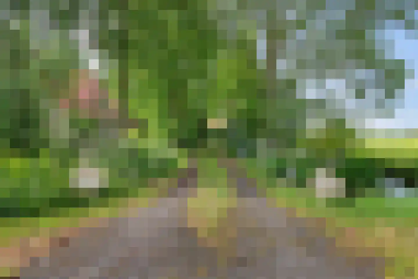 Heidenskipsterdyk 38 A It Heidenskip thumbnail 4