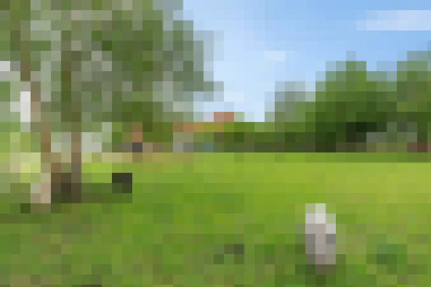 Heidenskipsterdyk 38 A It Heidenskip thumbnail 45