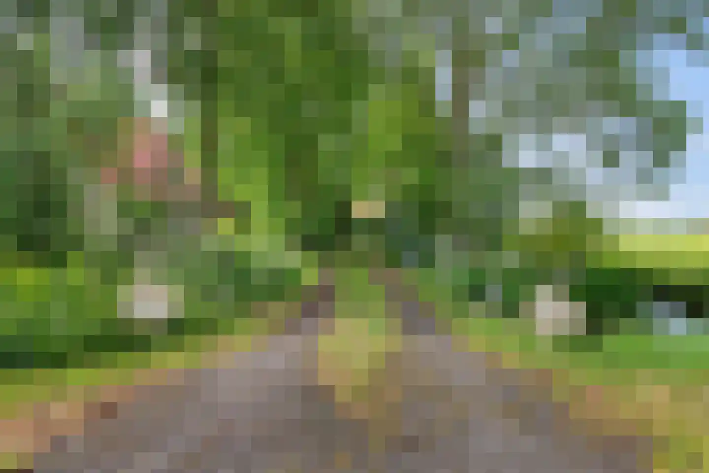 Heidenskipsterdyk 38 A It Heidenskip thumbnail 5