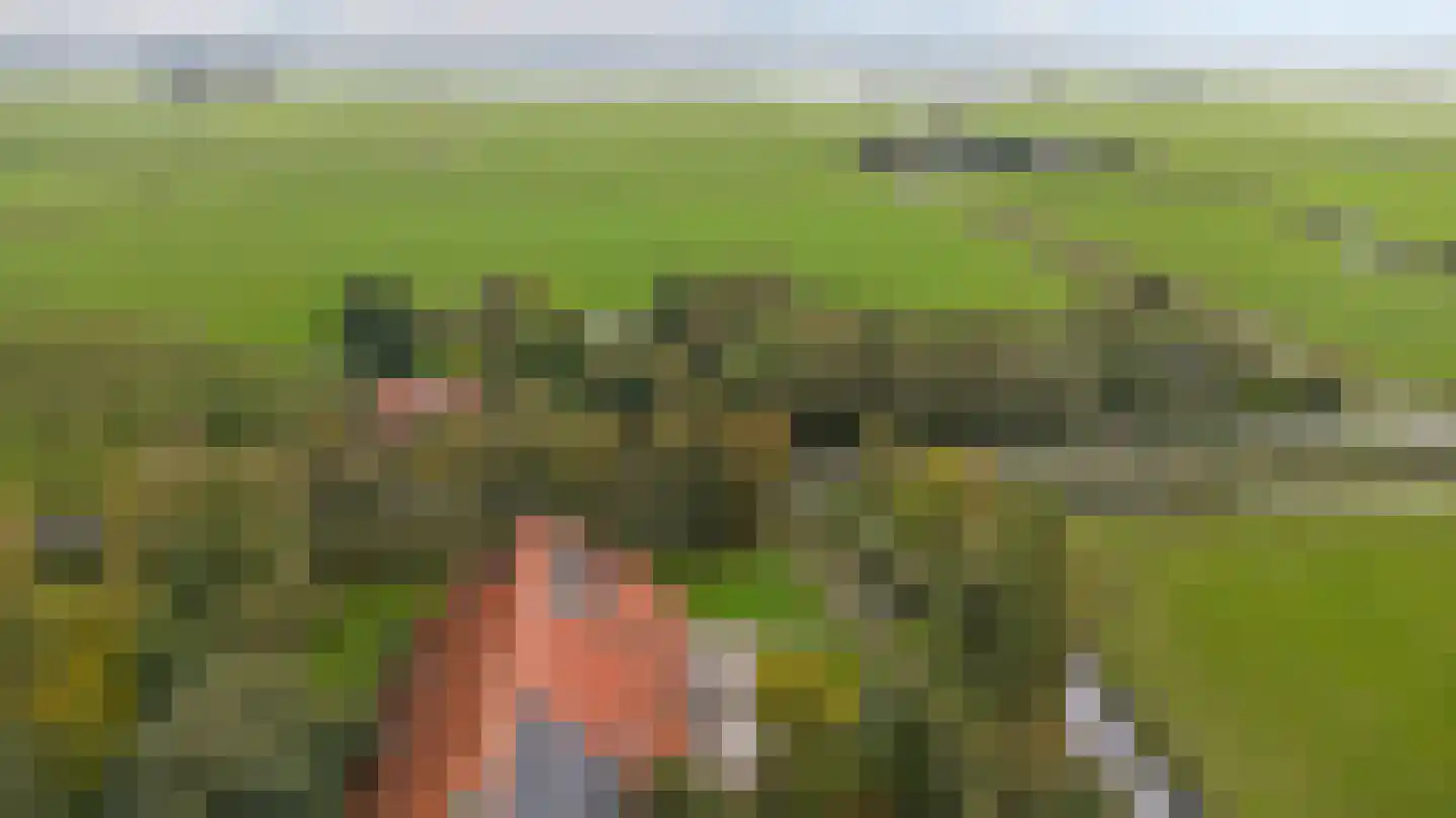 Heidenskipsterdyk 38 It Heidenskip thumbnail 27