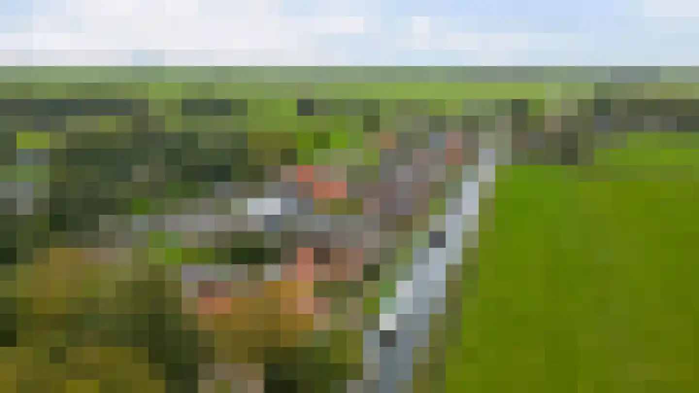 Heidenskipsterdyk 38 It Heidenskip thumbnail 28