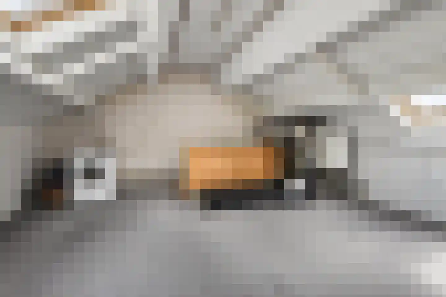 Heidepad 12 Wezep thumbnail 32