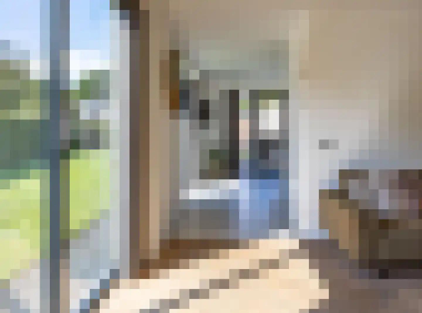 Heidepad 2 Bergen L thumbnail 11