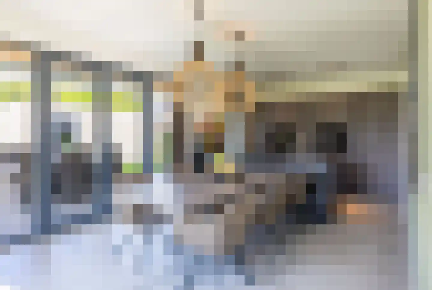 Heidepad 2 Bergen L thumbnail 12