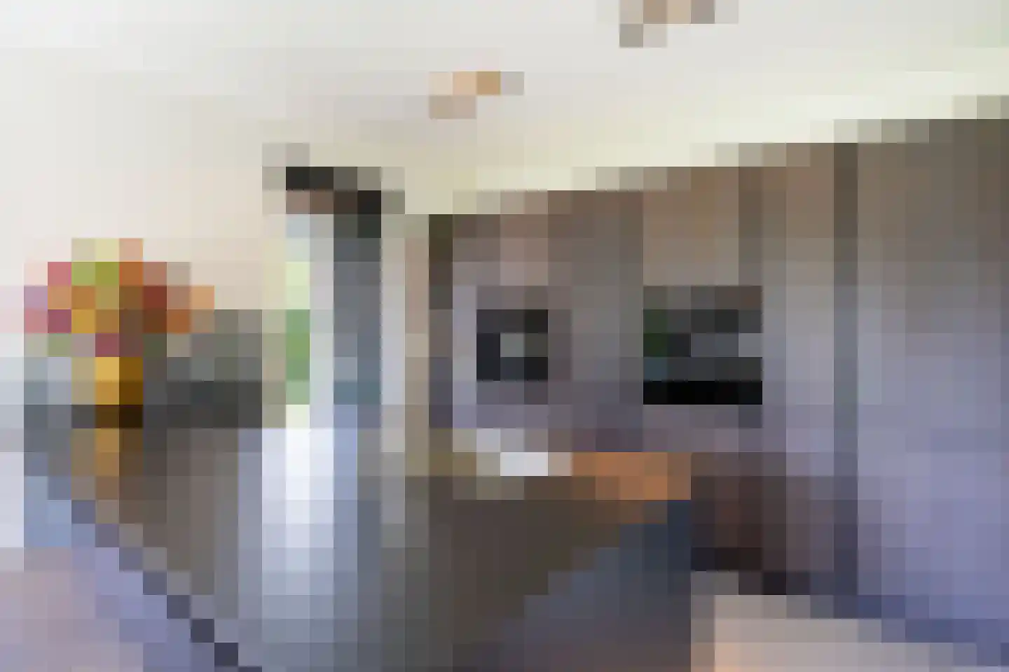 Heidepad 2 Bergen L thumbnail 15