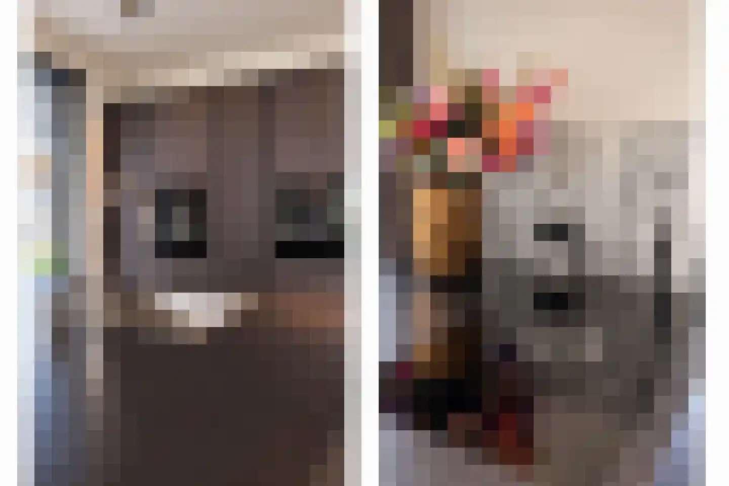 Heidepad 2 Bergen L thumbnail 16