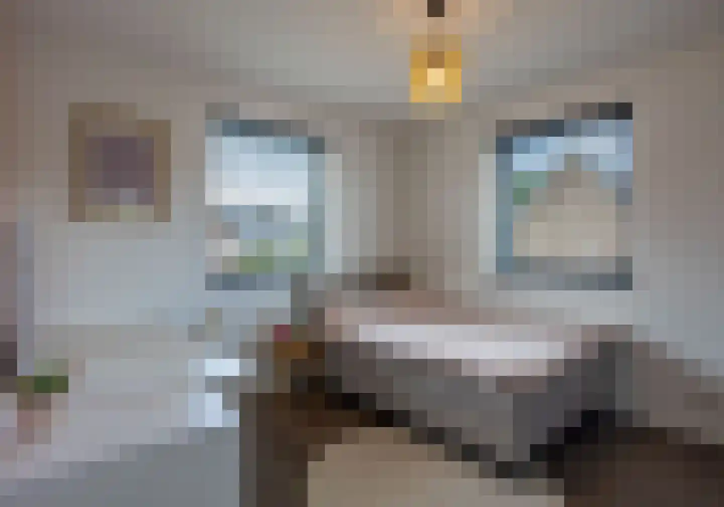 Heidepad 2 Bergen L thumbnail 21