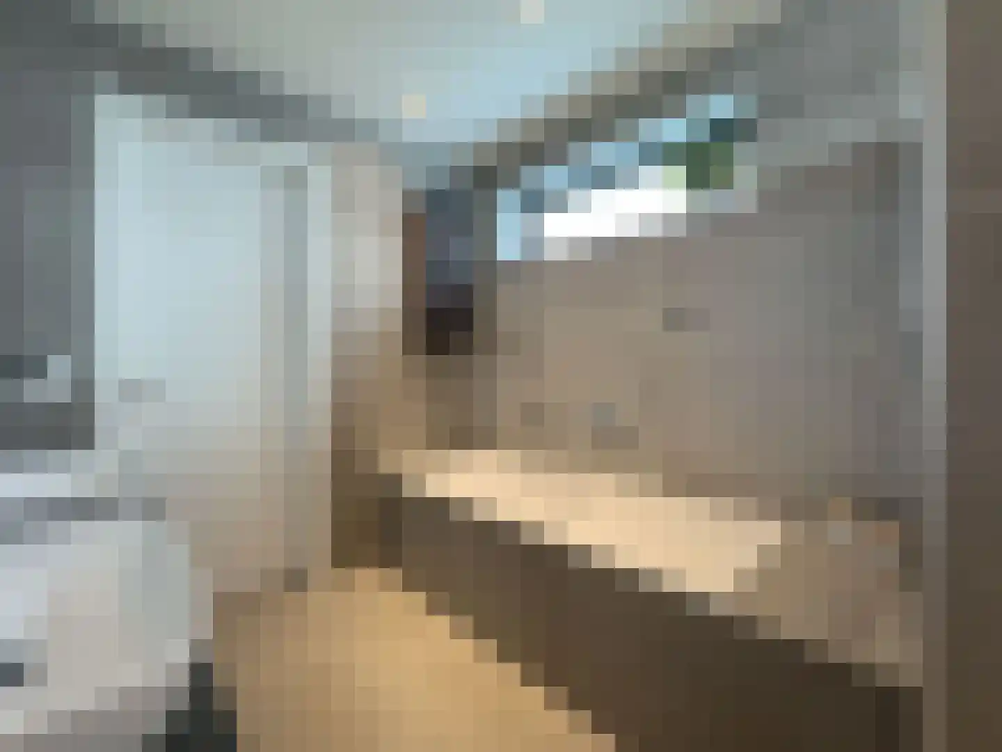 Heidepad 2 Bergen L thumbnail 25