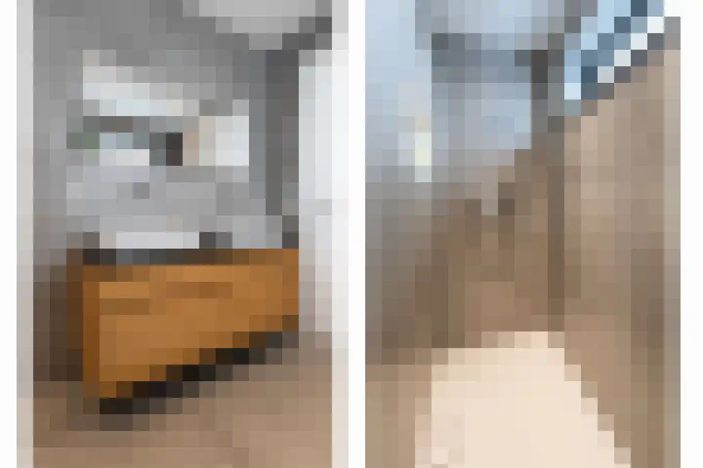 Heidepad 2 Bergen L thumbnail 26
