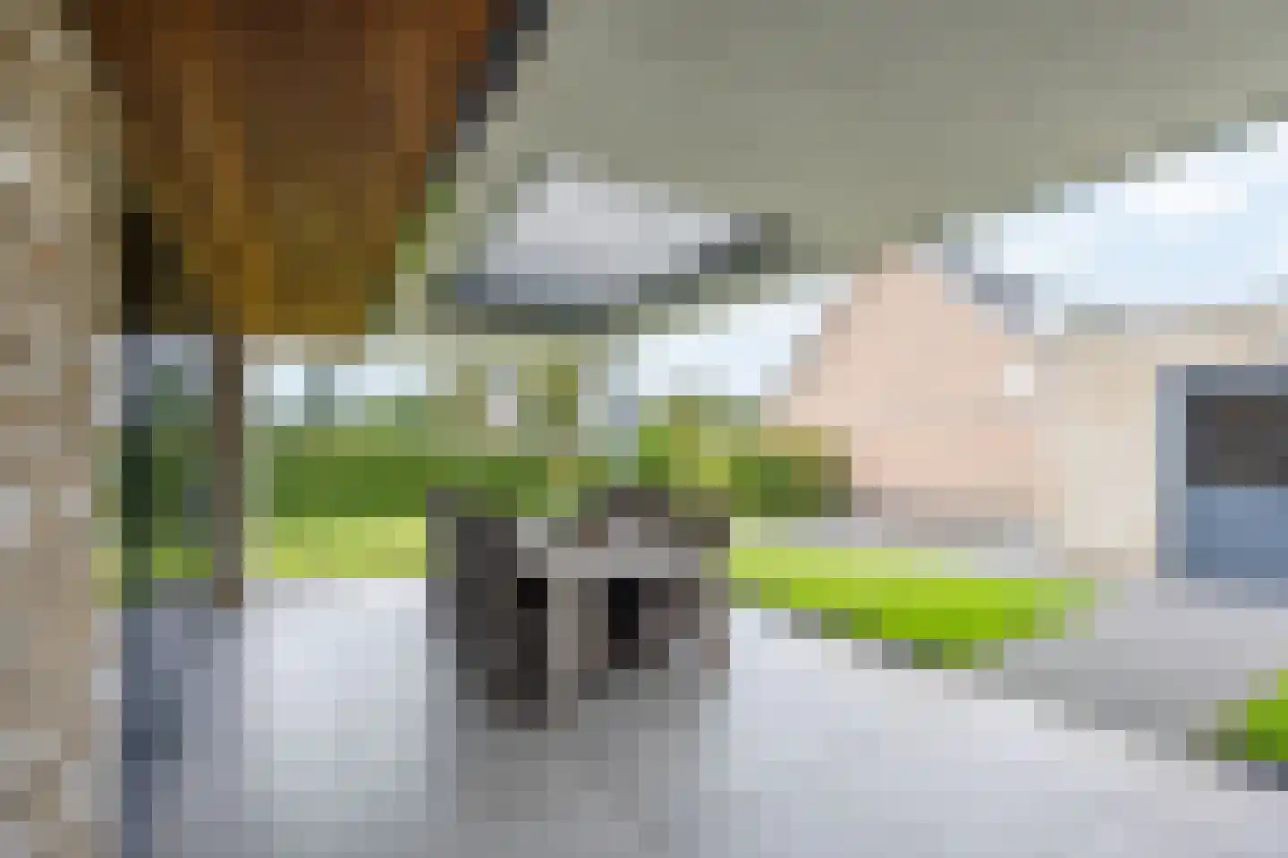 Heidepad 2 Bergen L thumbnail 32