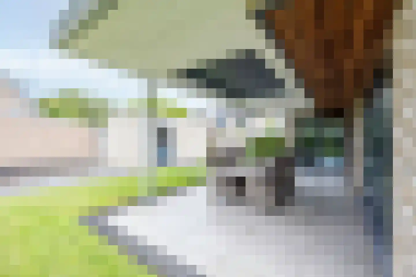 Heidepad 2 Bergen L thumbnail 33