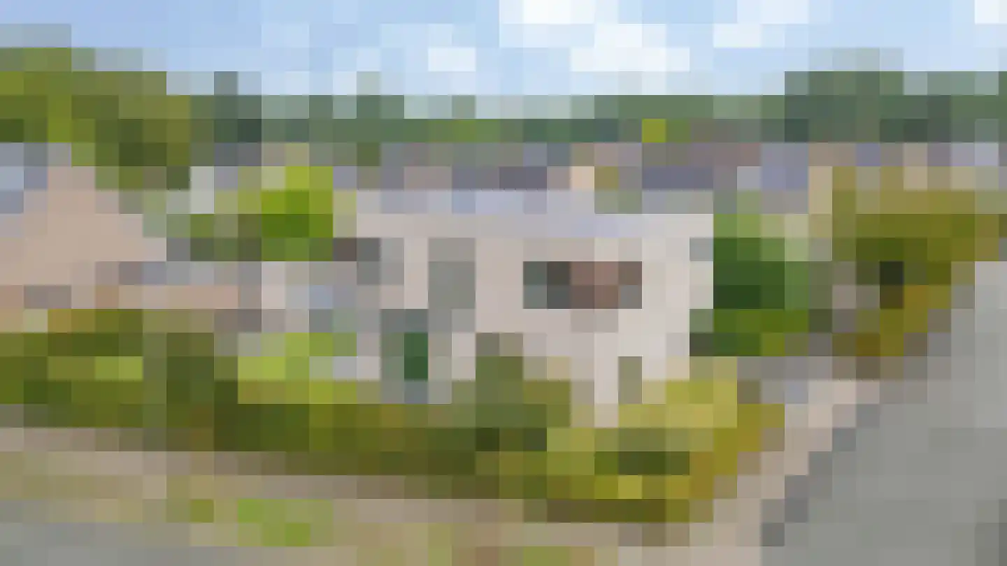 Heidepad 2 Bergen L thumbnail 40