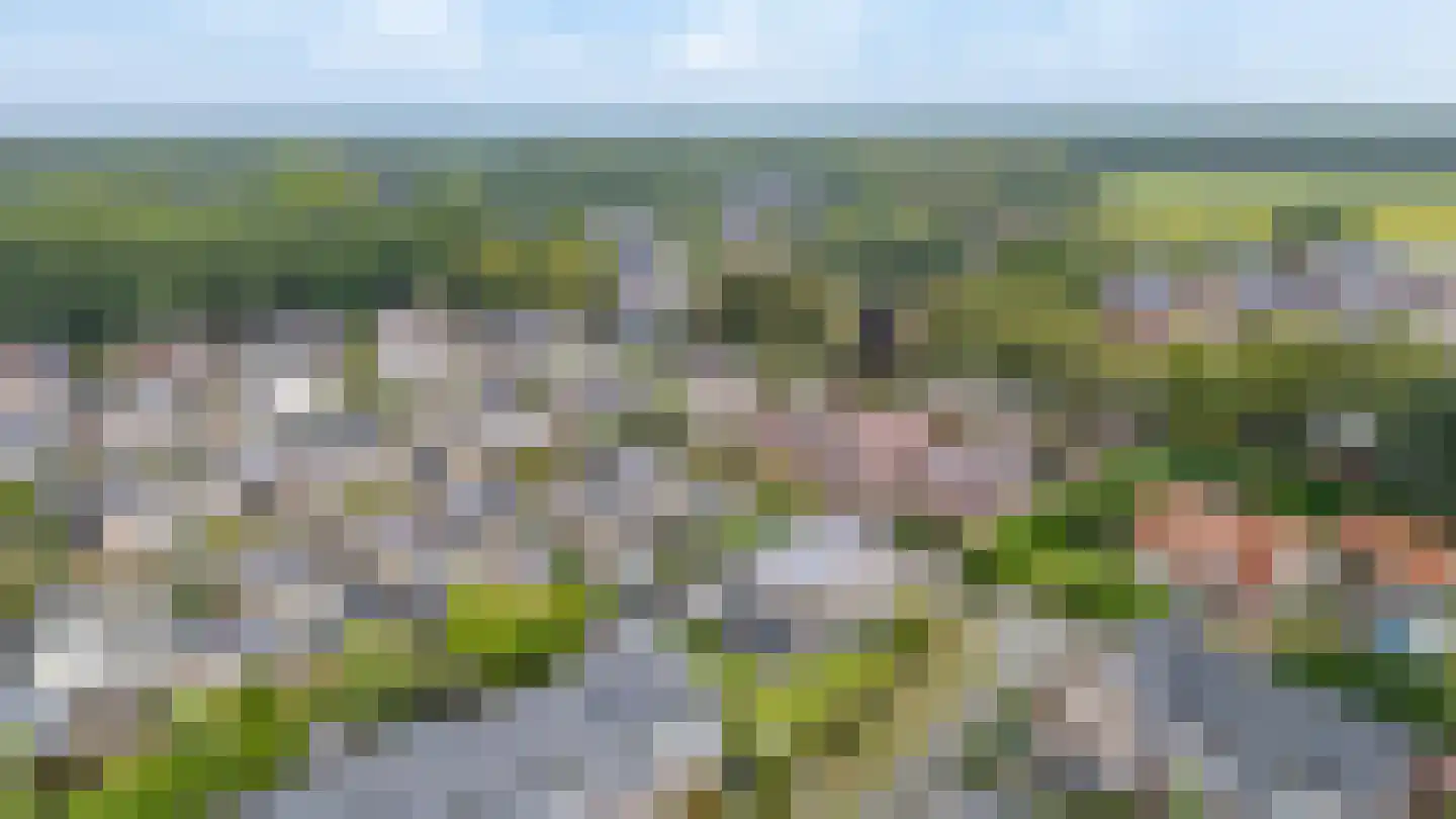 Heidepad 2 Bergen L thumbnail 41
