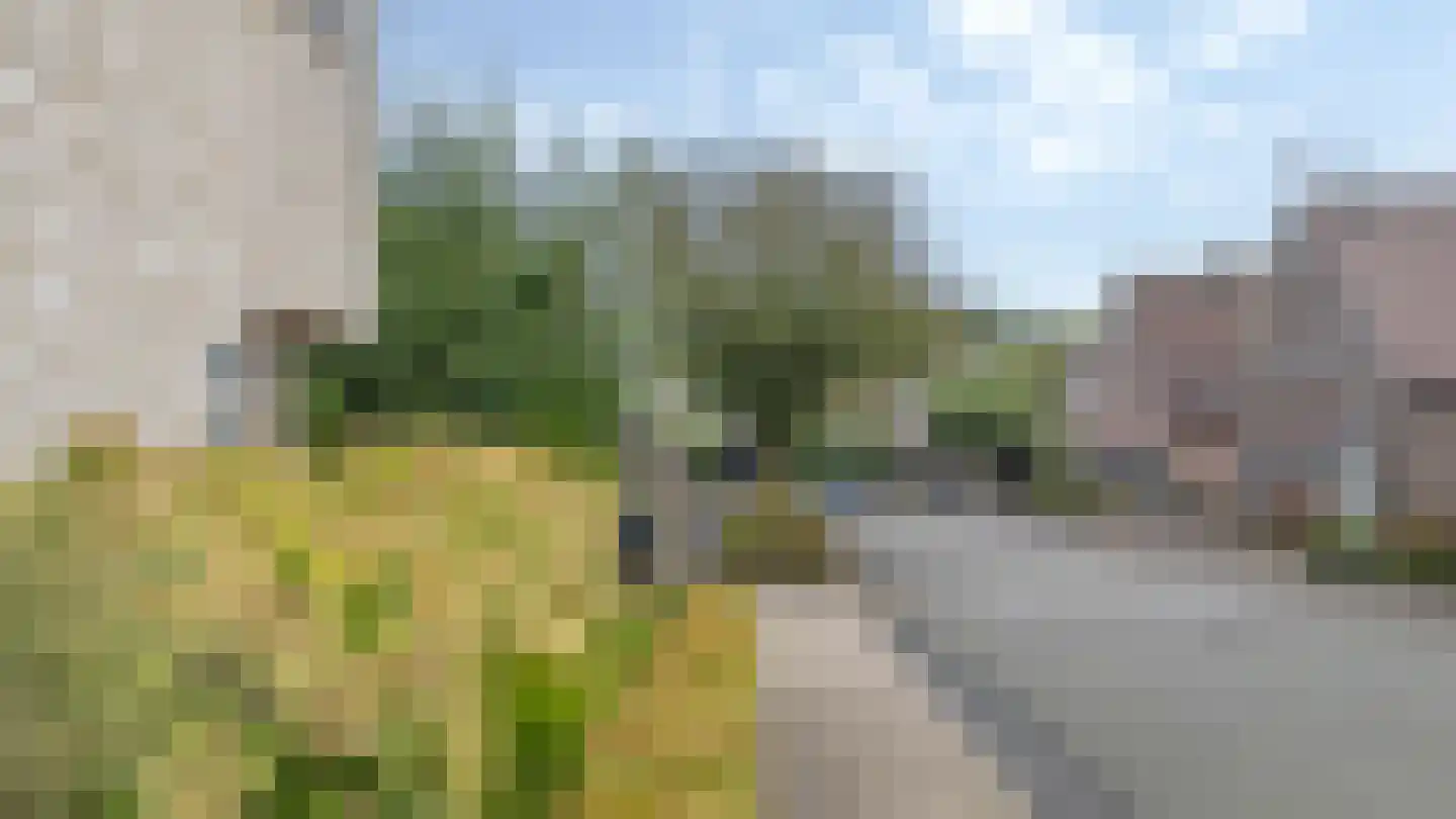 Heidepad 2 Bergen L thumbnail 43
