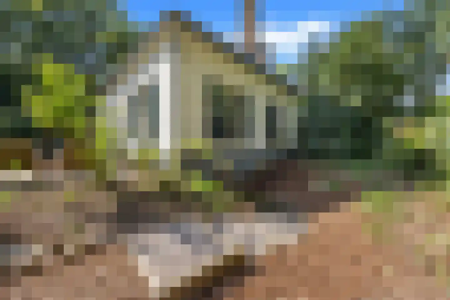 Heideparkseweg 554 Nijmegen thumbnail 30