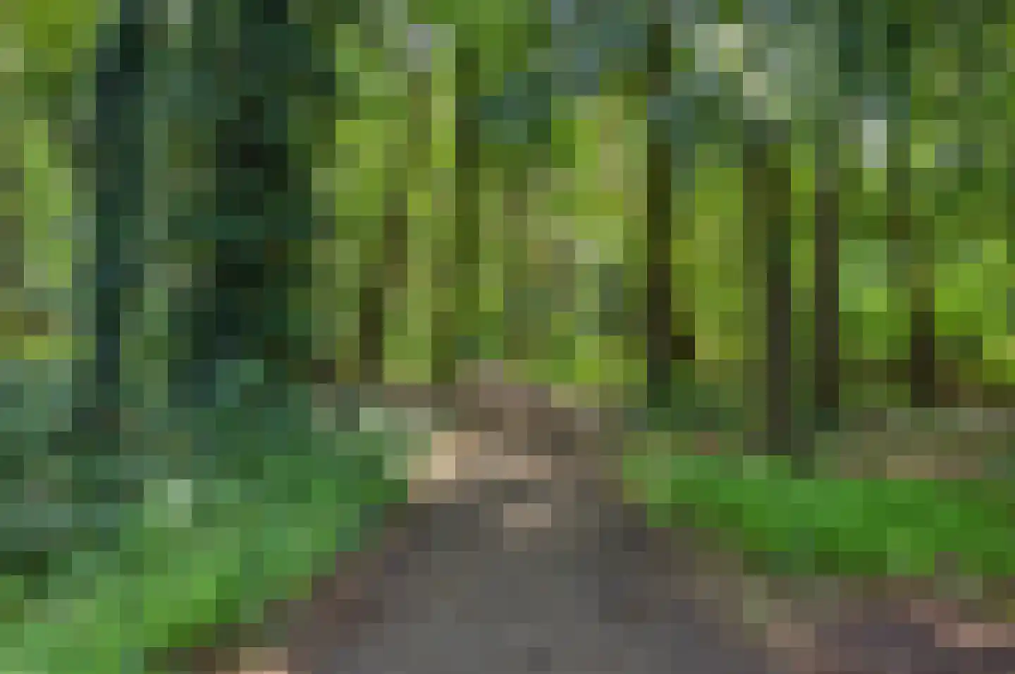Heideparkseweg 554 Nijmegen thumbnail 56