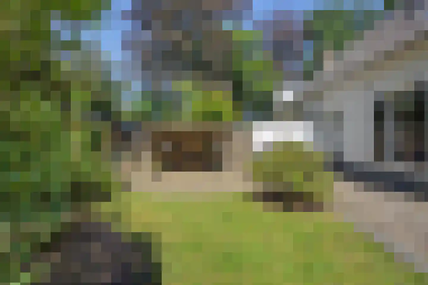 Heideparkseweg 554 Nijmegen thumbnail 6