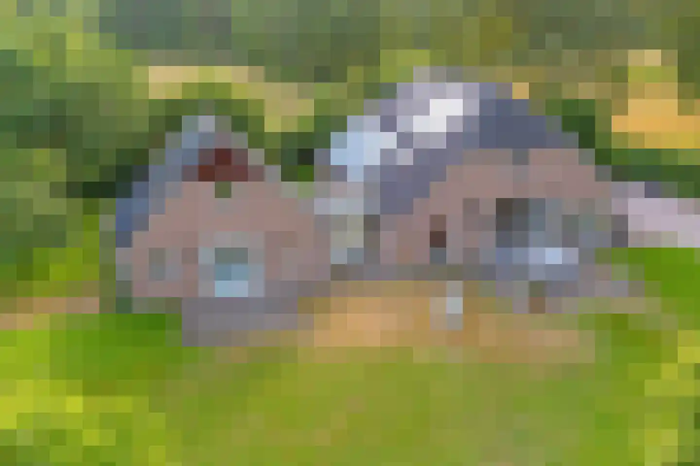 Heidepolweg 4 Vorden thumbnail 10