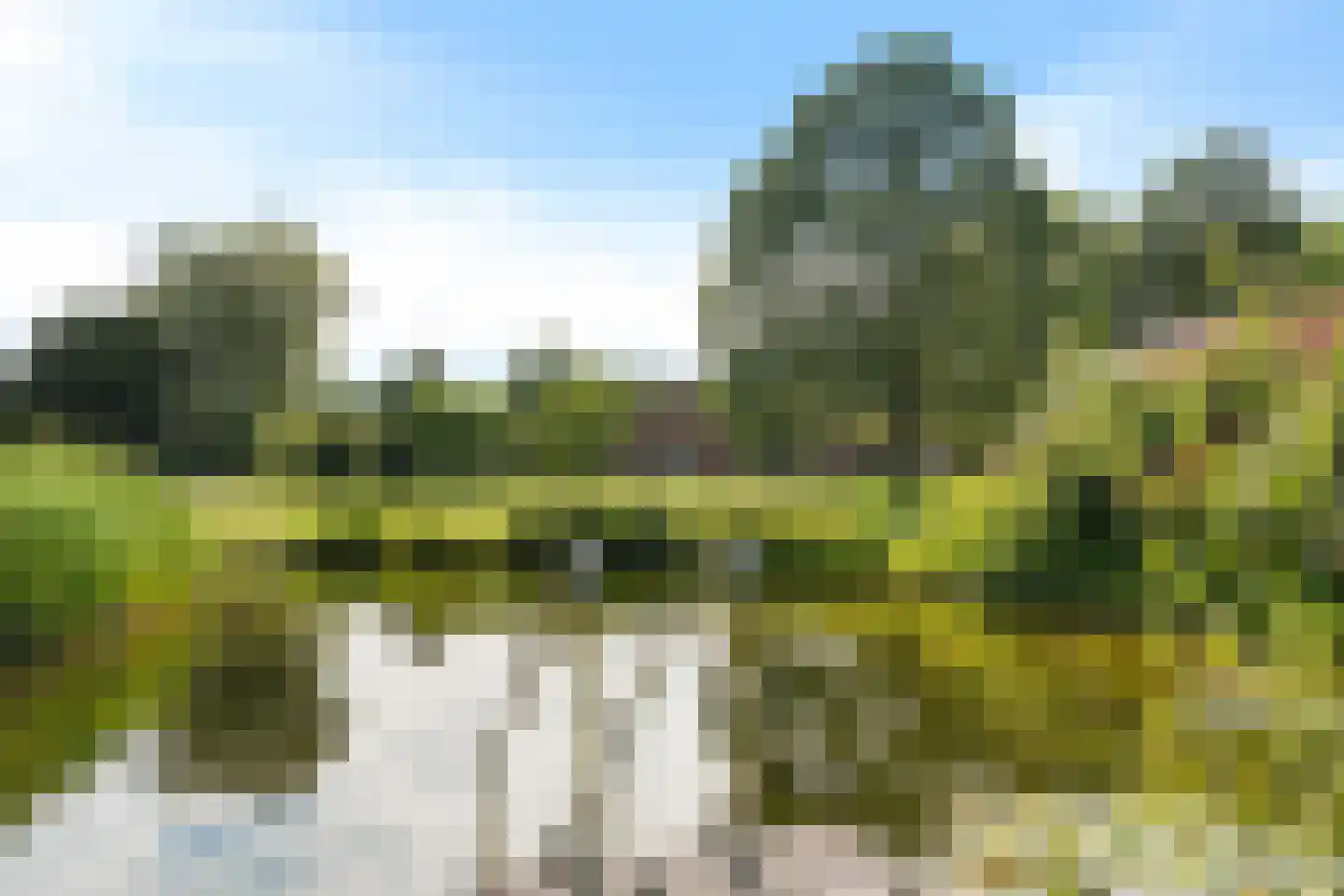 Heidepolweg 4 Vorden thumbnail 12
