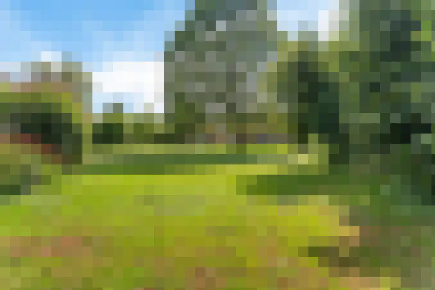 Heidepolweg 4 Vorden thumbnail 13