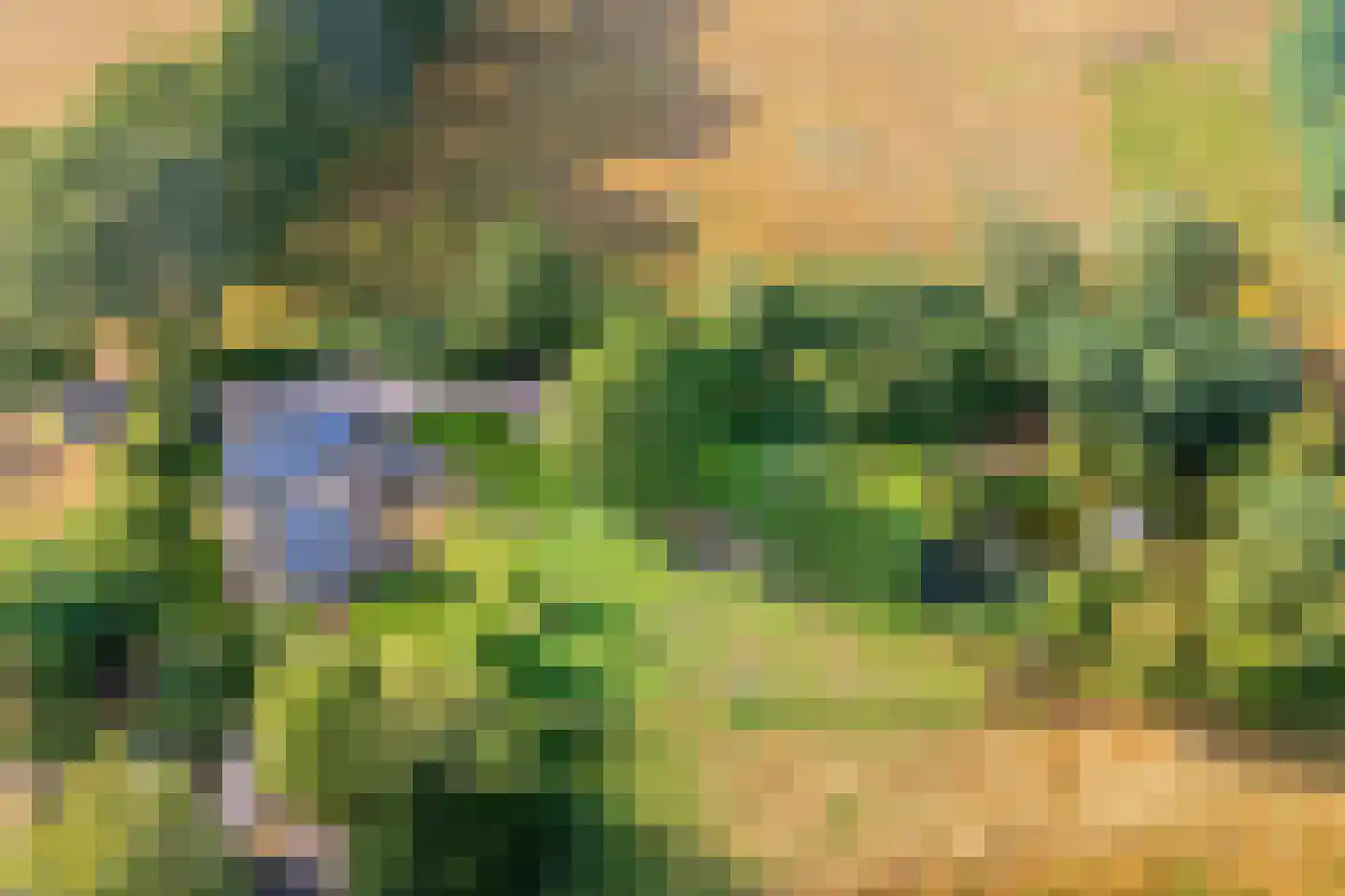 Heidepolweg 4 Vorden thumbnail 14