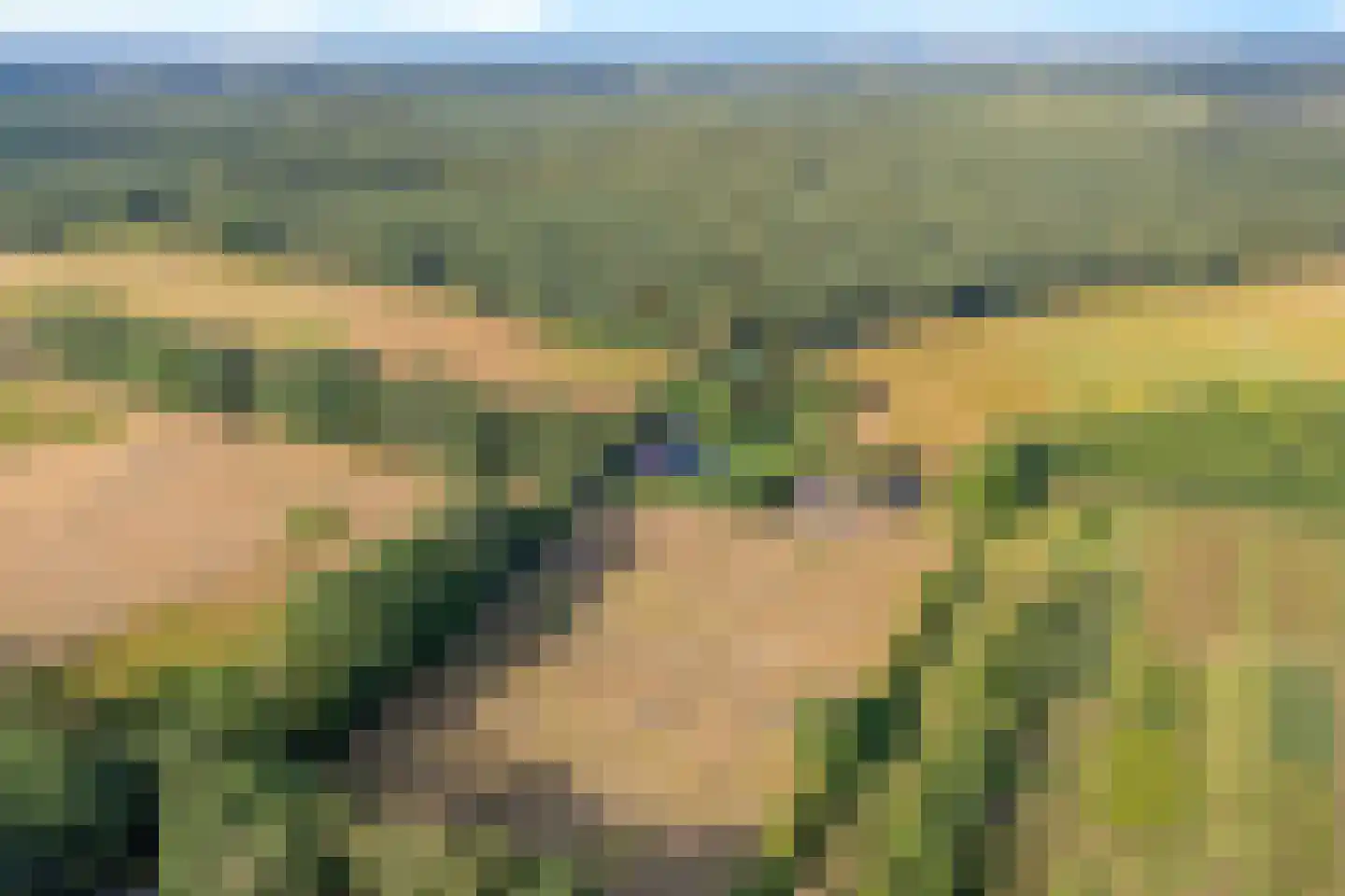 Heidepolweg 4 Vorden thumbnail 15