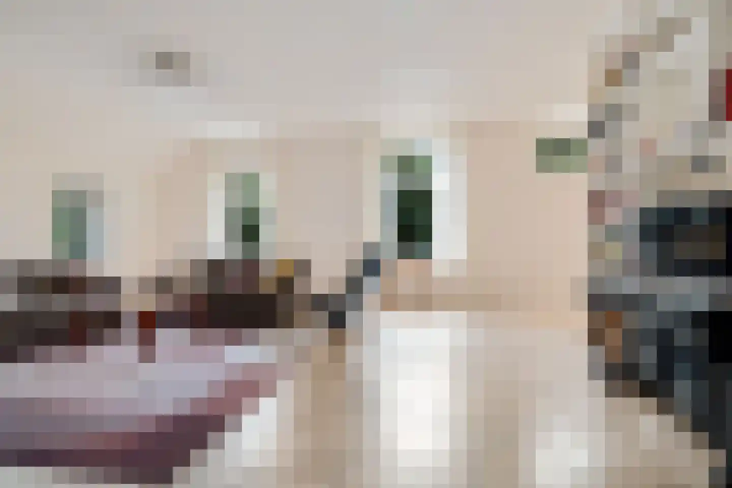 Heidepolweg 4 Vorden thumbnail 16