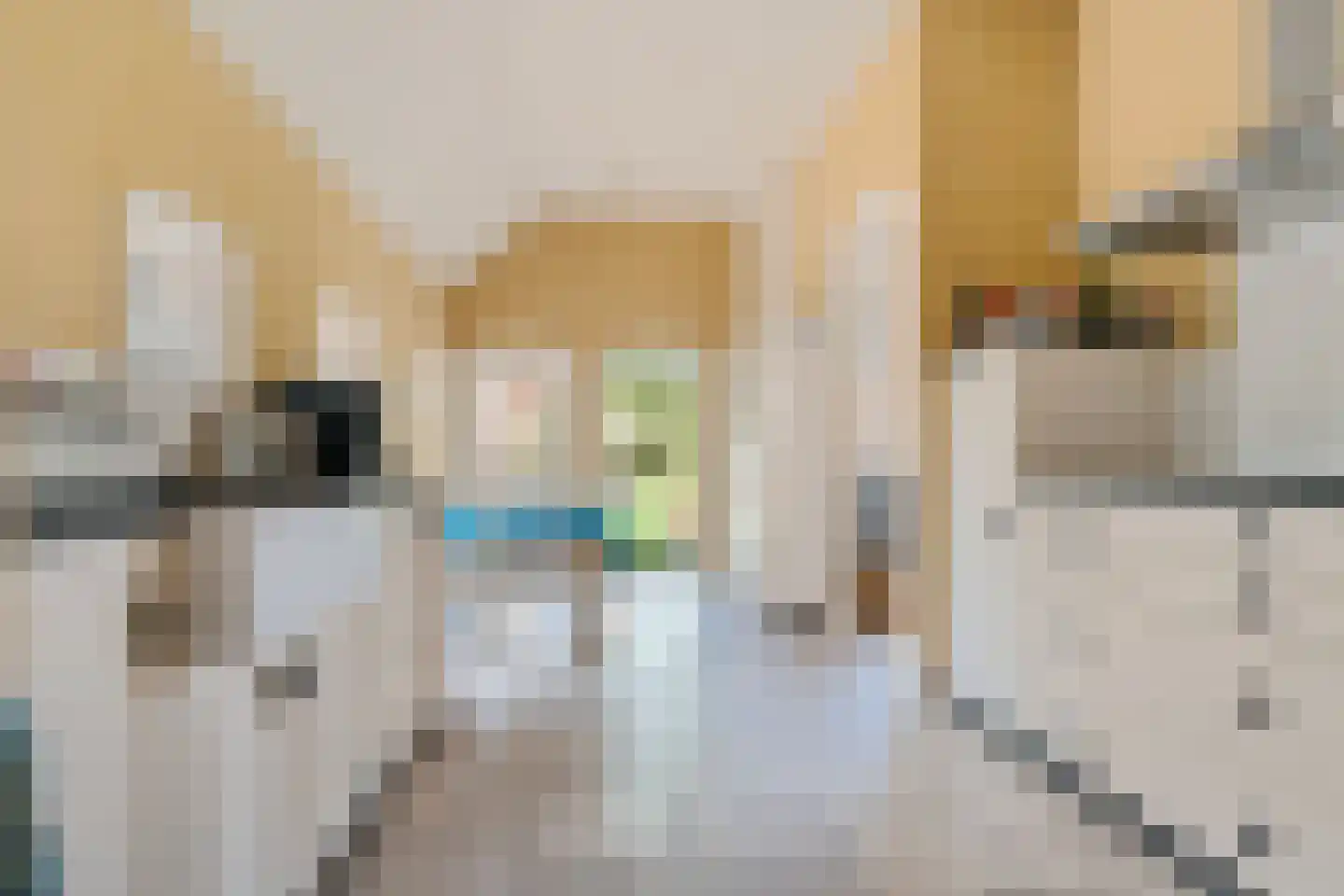 Heidepolweg 4 Vorden thumbnail 26