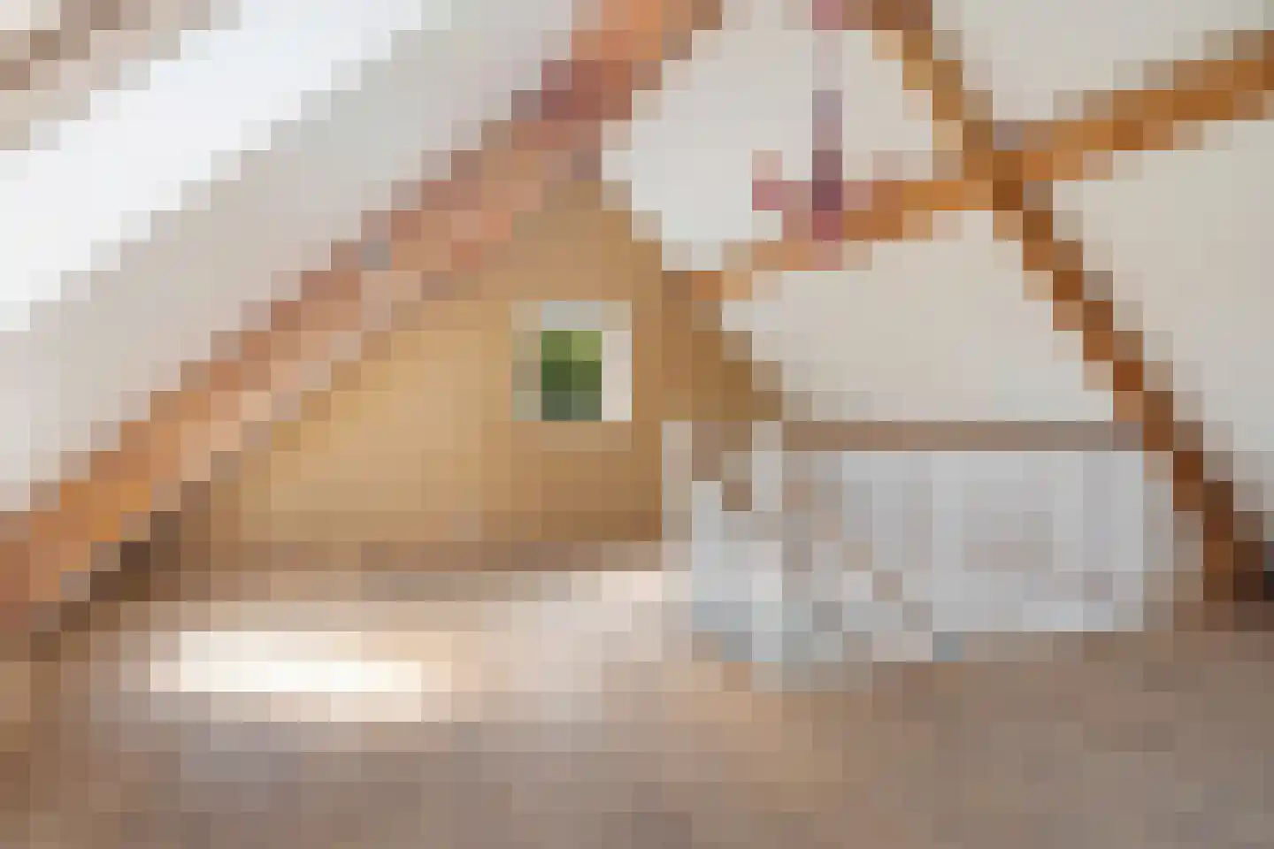 Heidepolweg 4 Vorden thumbnail 33