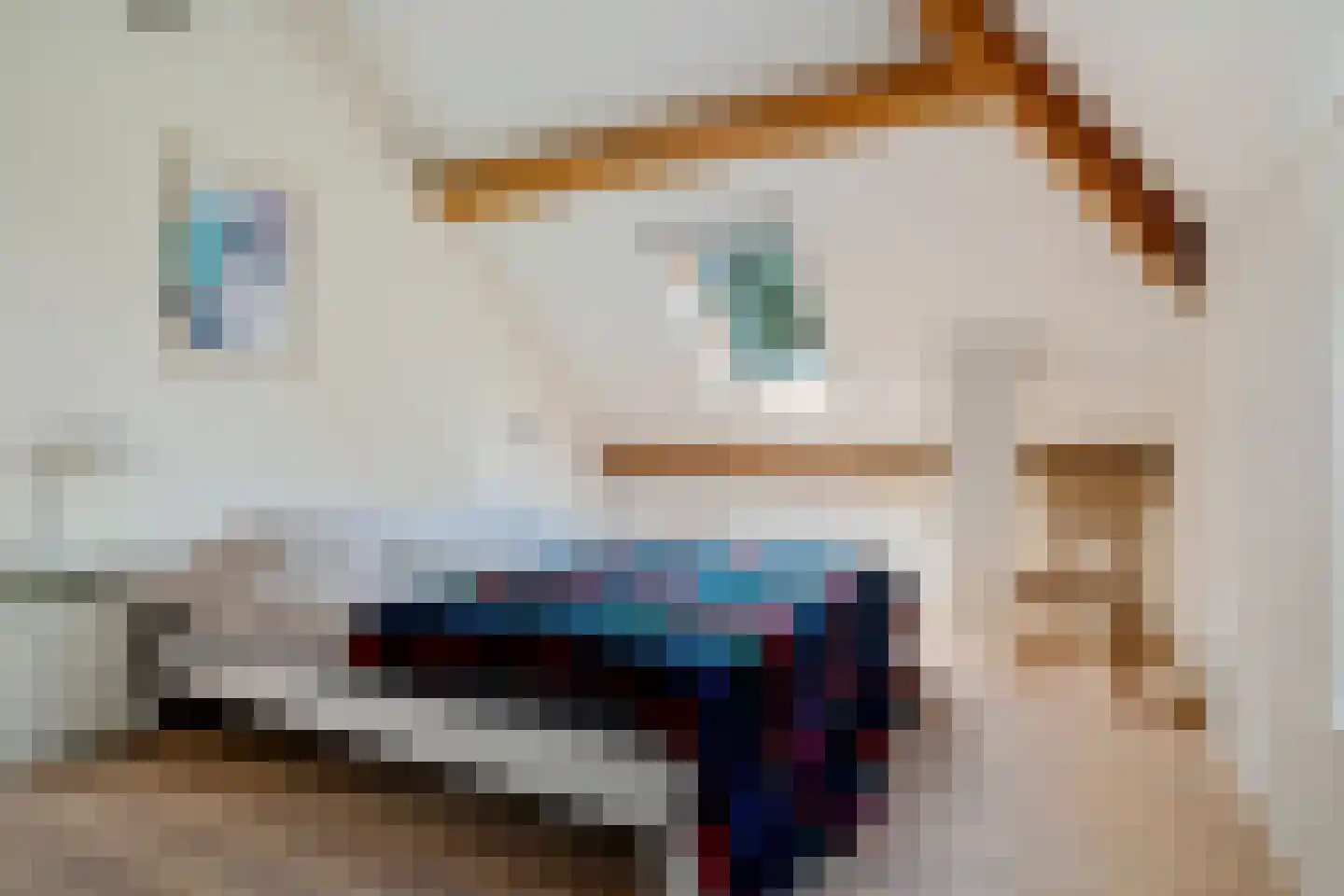 Heidepolweg 4 Vorden thumbnail 38