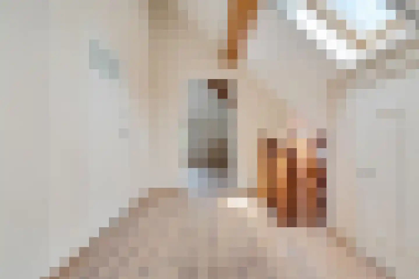 Heidepolweg 4 Vorden thumbnail 40