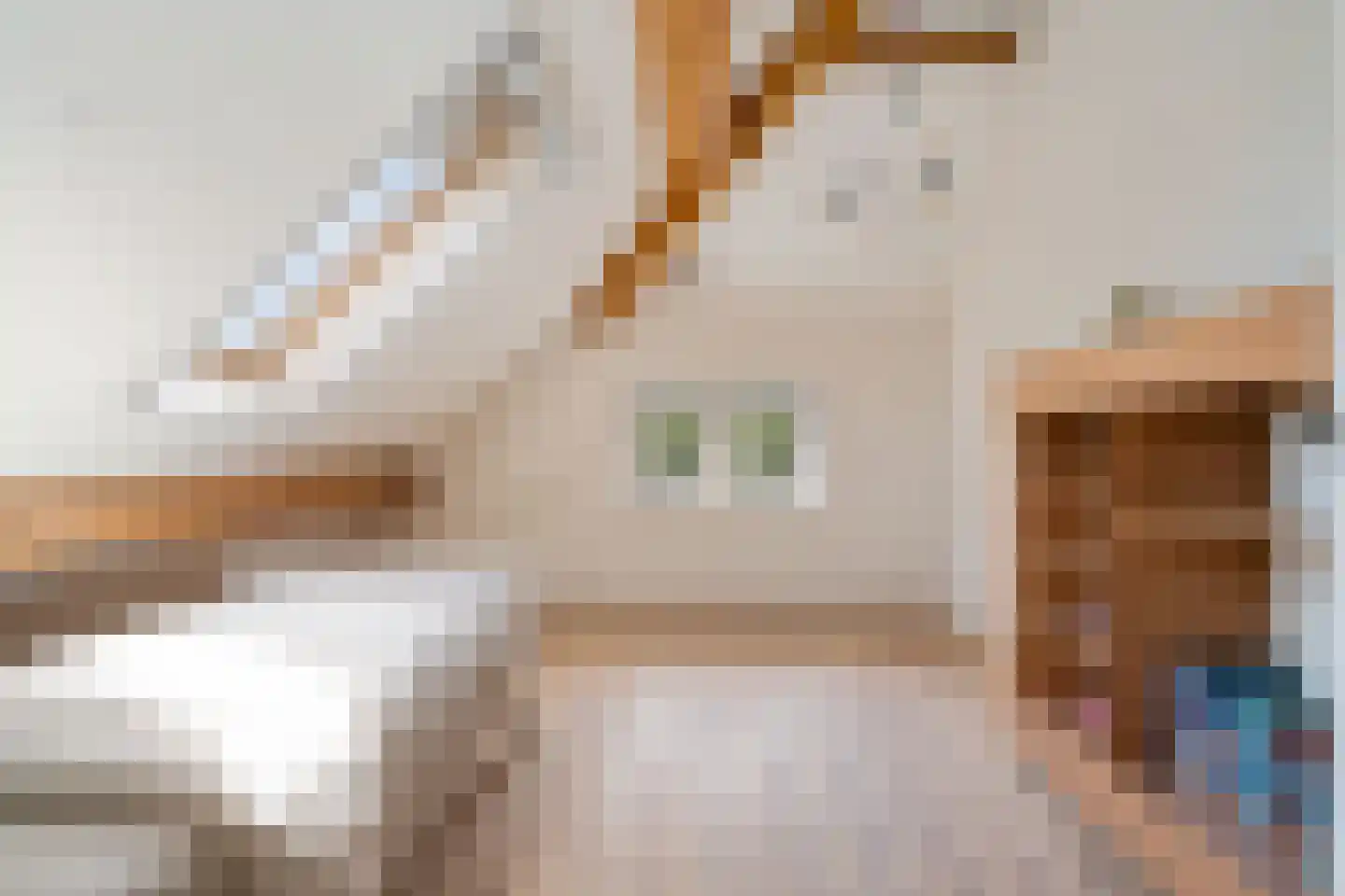 Heidepolweg 4 Vorden thumbnail 41