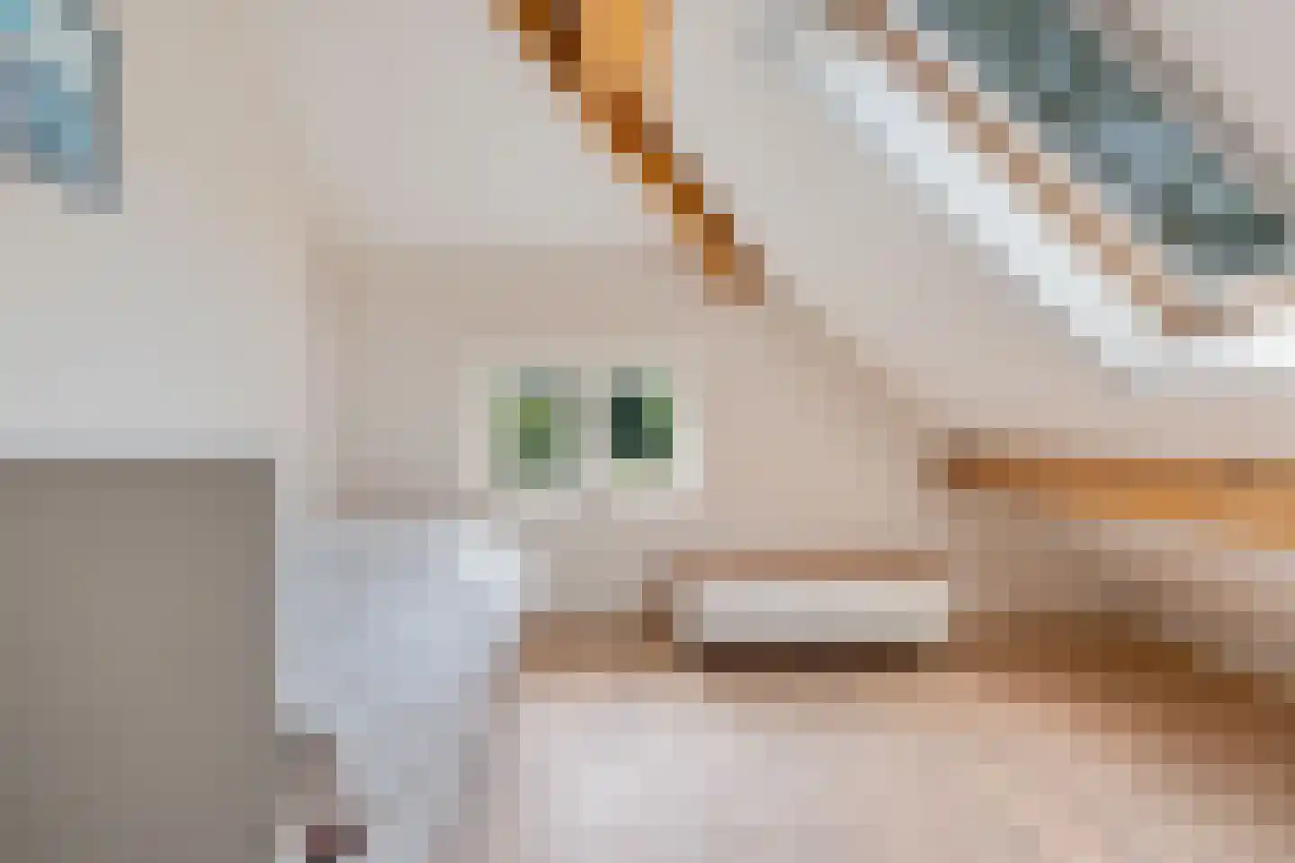 Heidepolweg 4 Vorden thumbnail 43