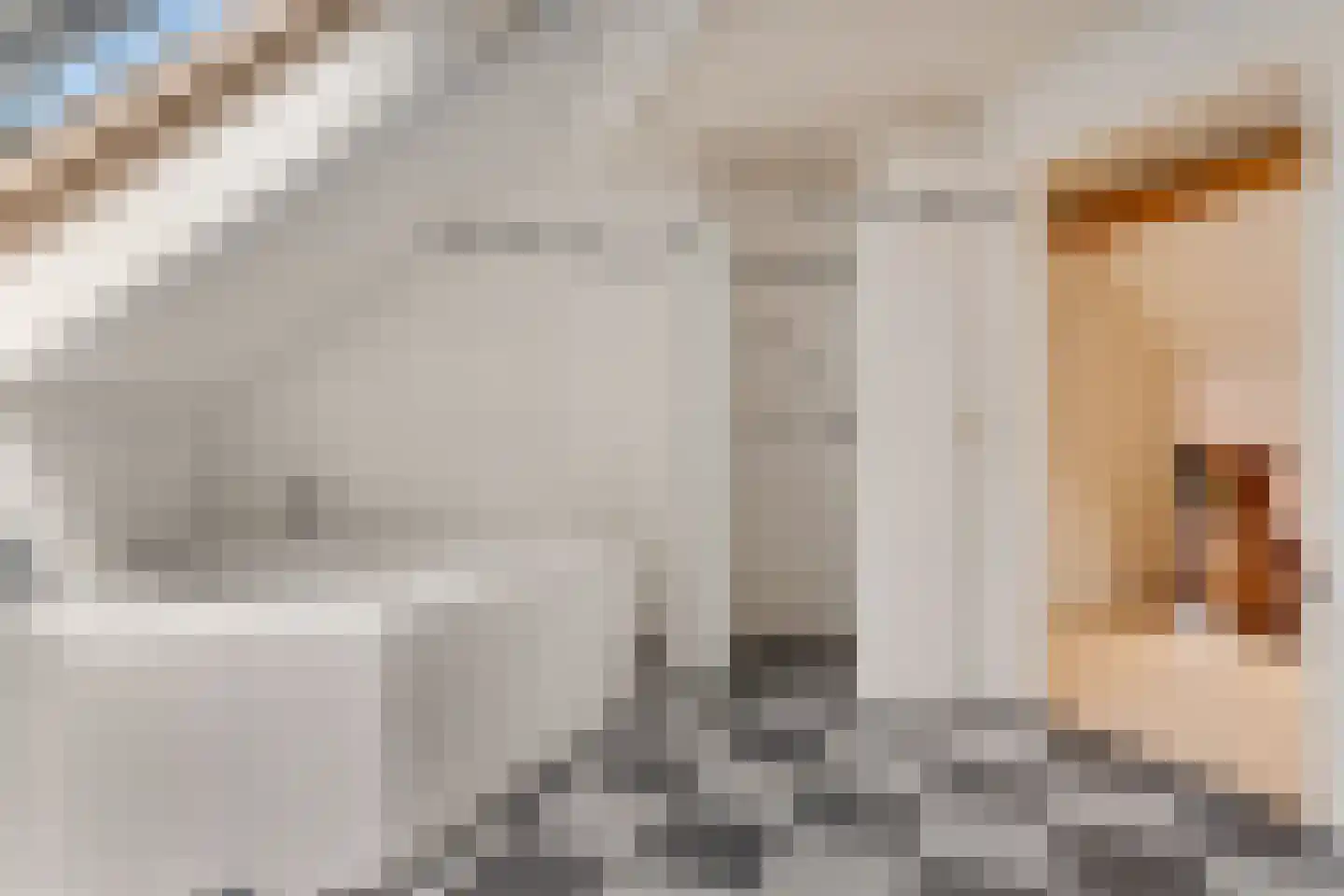 Heidepolweg 4 Vorden thumbnail 45