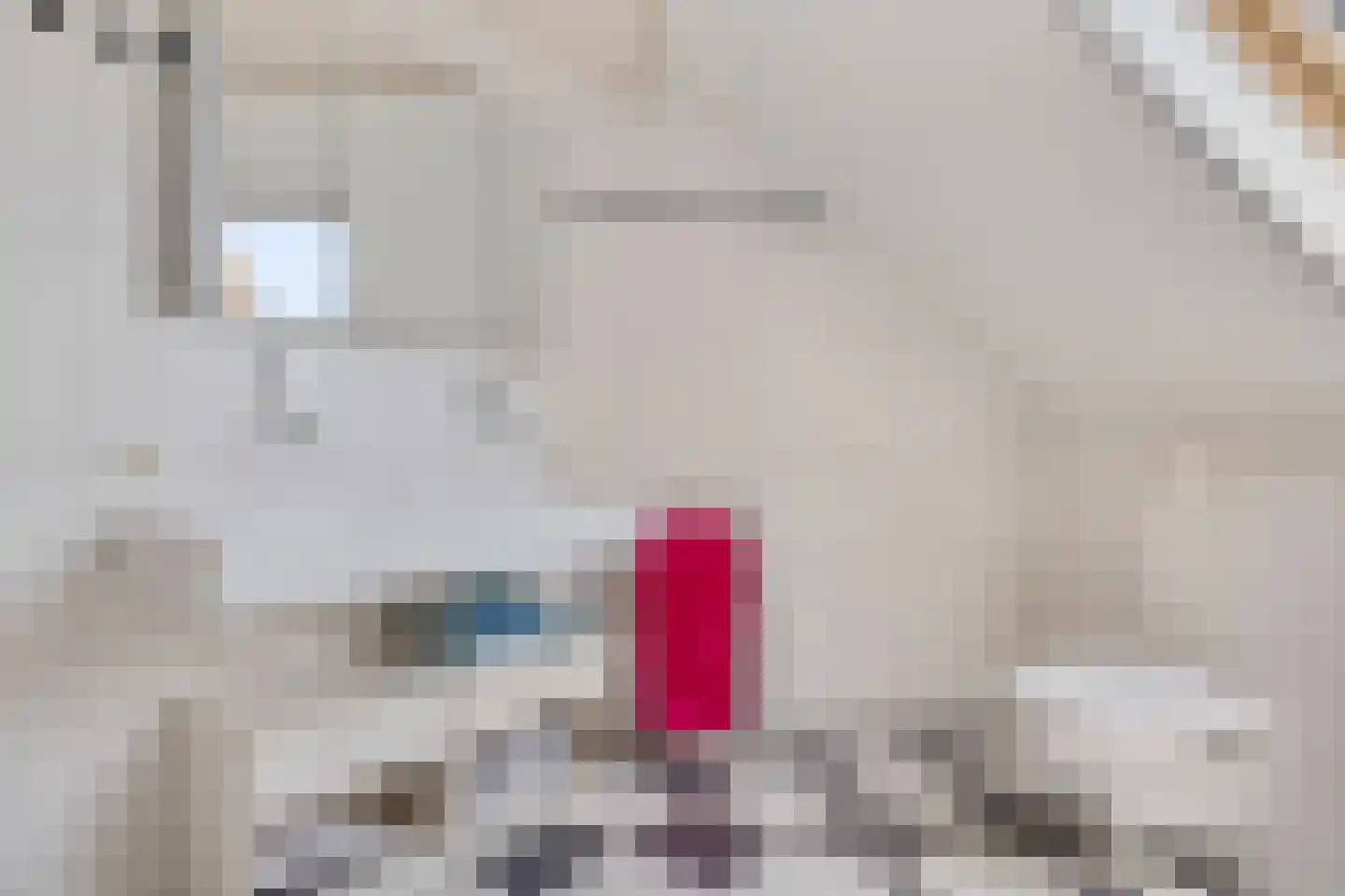 Heidepolweg 4 Vorden thumbnail 46