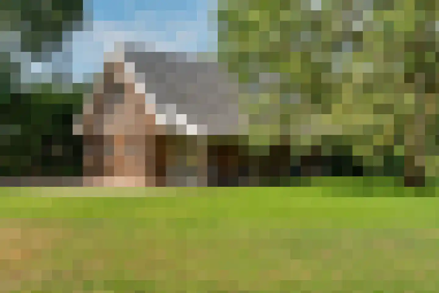 Heidepolweg 4 Vorden thumbnail 47