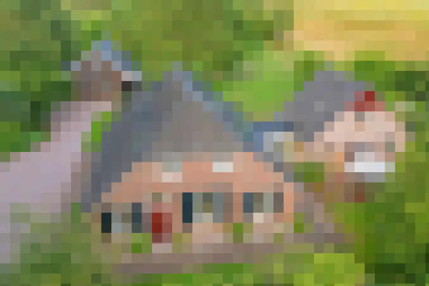 Heidepolweg 4 Vorden thumbnail 5