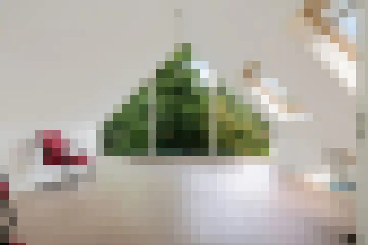 Heidepolweg 4 Vorden thumbnail 52